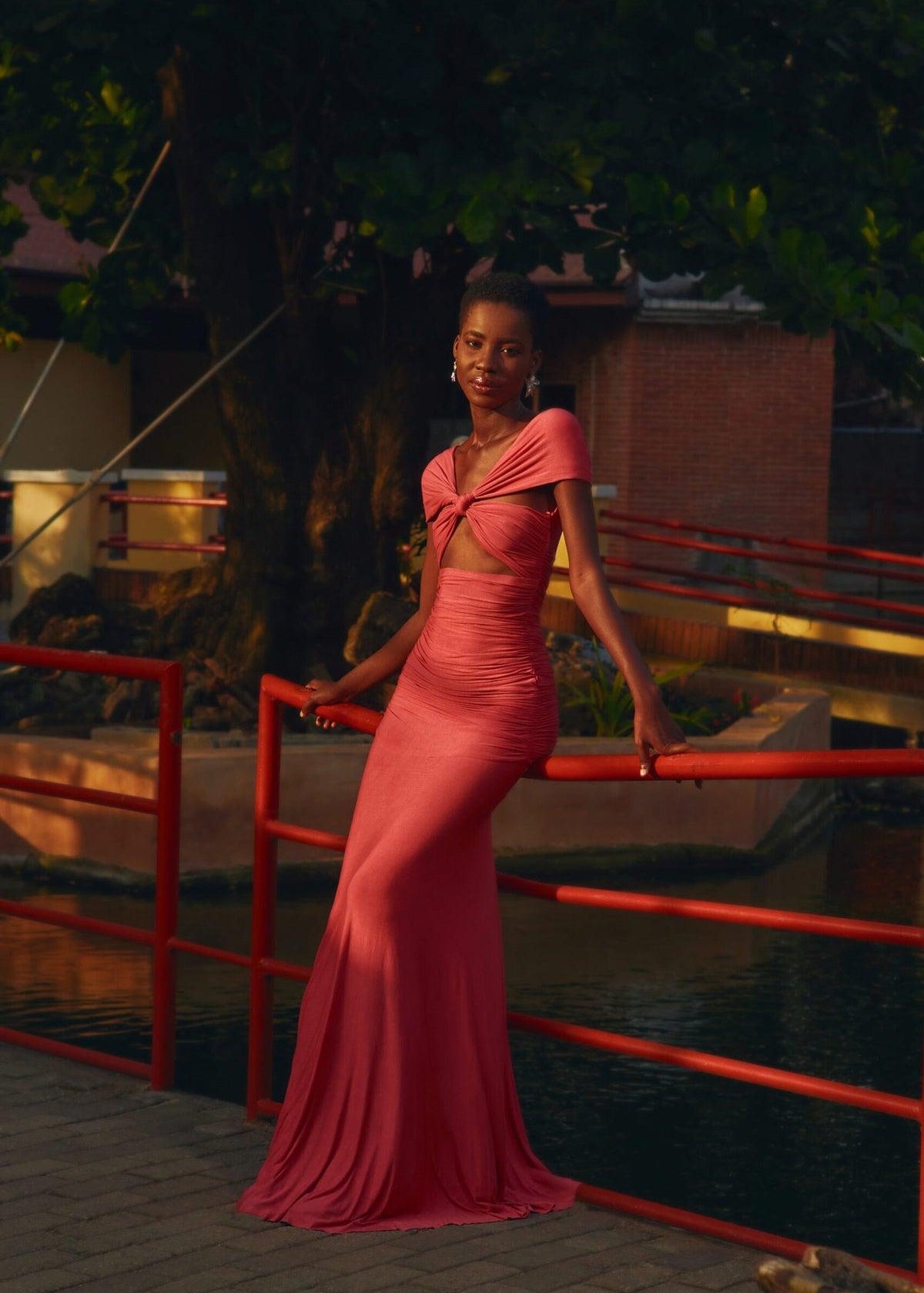 Abiola Olusola Dress Rose Dress